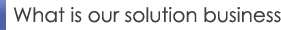What is our solution business
